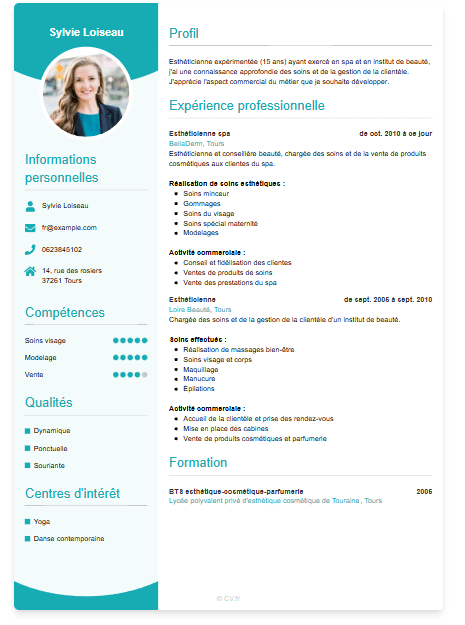CV Template Preview