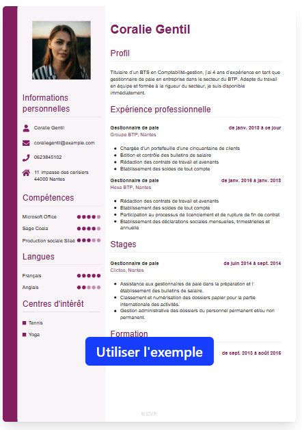 CV Template Pro